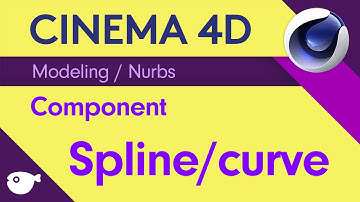 복쌤의 시포디 스터디 ( Modeling / Nurbs / Spline )