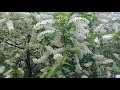 Я   дарю   красоту 🤗