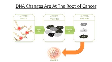 Precision Medicine - Chioces Through Your Pathology Report