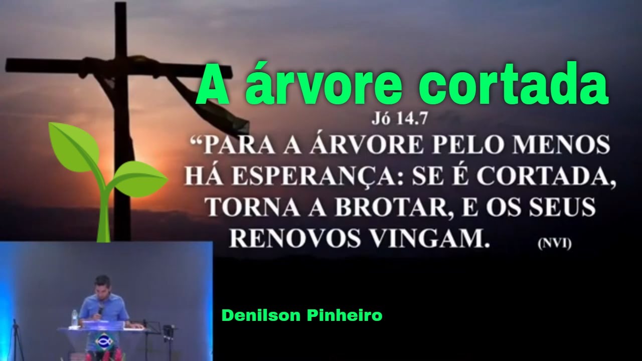 Deus, a Esperança Para o Necessitado - Jó 14:7-9