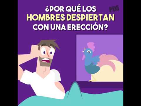 porque el hombre se levanta con una ereccion