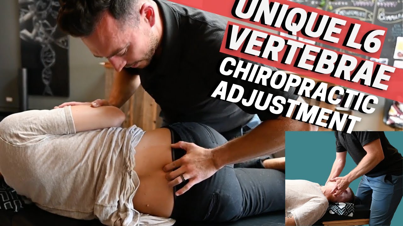 健康・医学 CHIROPRACTIC EXTRAVERTEBRAL TECHNIC Amazon.com: JTECH Medical - CAT EX Chiropractic Adjusting Tool