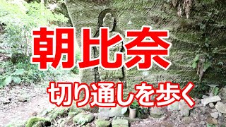 朝比奈　切通しを歩く