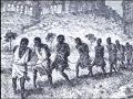 Routes de l'Esclave: Une Vision Globale