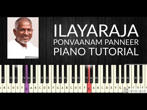 Ponvaanam Panneer  Piano Notes  Ilayaraja  Isai Petti