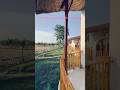 Farm Stay on the outskirts of Forest Pilibhit