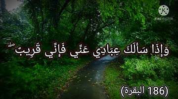 الايه(186)من سورة البقره /القارء اسلام صبحي/وَإِذَا سَأَلَكَ عِبَادِي عَنِّي فَإِنِّي قَرِيبٌ ۖ