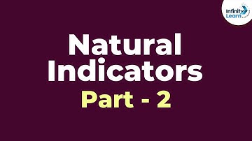 Natural Indicators - Part 2 | Acid Bases and Salts | Don