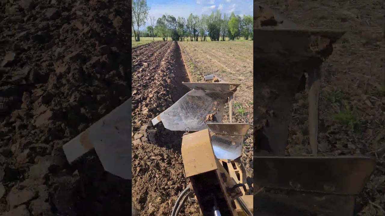 Fiat 640 aratura 2024