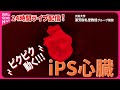 【iPS心臓ライブ】ピクピク動く“生きた心臓モデル”いまの様子は？東京・汐留で一般無料公開中　日本テレビ「カラダWEEK」（日テレNEWS LIVE）