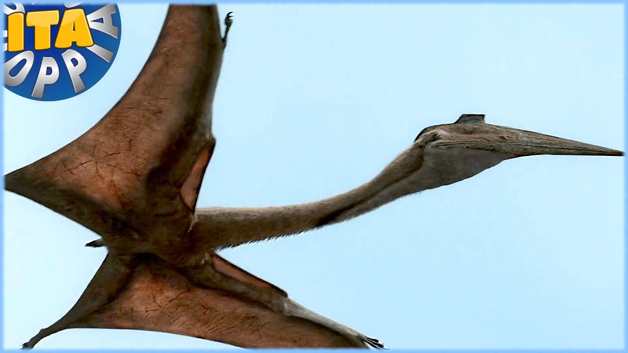 Il Treno Dei Dinosauri Quetzalcoatlus