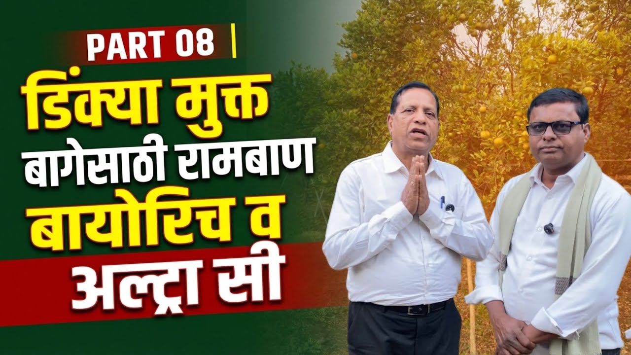 PART 08 | डिंक्या मुक्त बागेसाठी रामबाण बायोरिच व अल्ट्रा सी