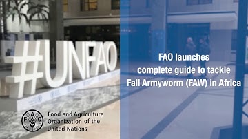 FAO launches complete guide to tackle Fall Armyworm (FAW) in Africa