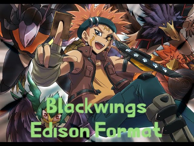 yugioh blackwing deck 2010 Complete Custom for Yu-Gi-Oh! 5D's From the 2010 Collectors Tin set NOSTALGIA FESTIVAL IS BACK! -