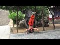 Shaolin mind training