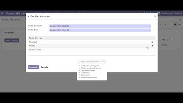 Reporte de Punto de Venta (ODOO 14)