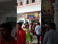 #Sri Raghavendra swamy #mantralaya #trending #viralvideos #kannada short #travel #devotional