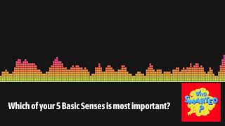Which of your 5 Basic Senses is most important? | Who Smarted? - Educational Podcast for Kids
