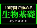 【6時間目】ホルモン #生物基礎 (自律神経、血糖濃度、インスリン、グルカゴン)