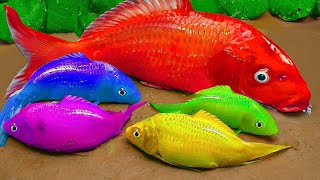 Memancing ikan lele, katak, ikan besar, telur emas ASMR Stop Motion