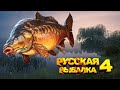 русская рыбалка 4 \\  СТРИМ \\ ОБЩЕНИЕ  \\ изи фарм