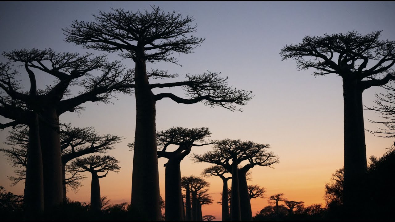 Once-in-a-lifetime trek to Makay Massif, Madagascar