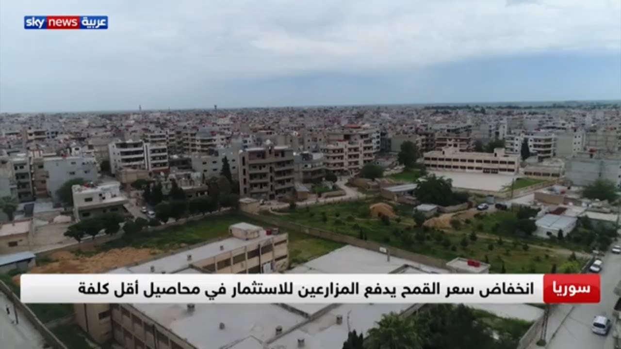 الإدارة الذاتية لشمال شرقي سوريا تحدد سعر شراء محصول القمح