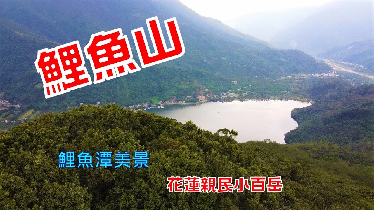 花蓮鯉魚山（花蓮鯉魚潭畔的小百岳輕鬆版行程2022-12-22）