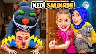 Eli̇f Si̇nem Dev Kedi̇ Babana Saldirdi