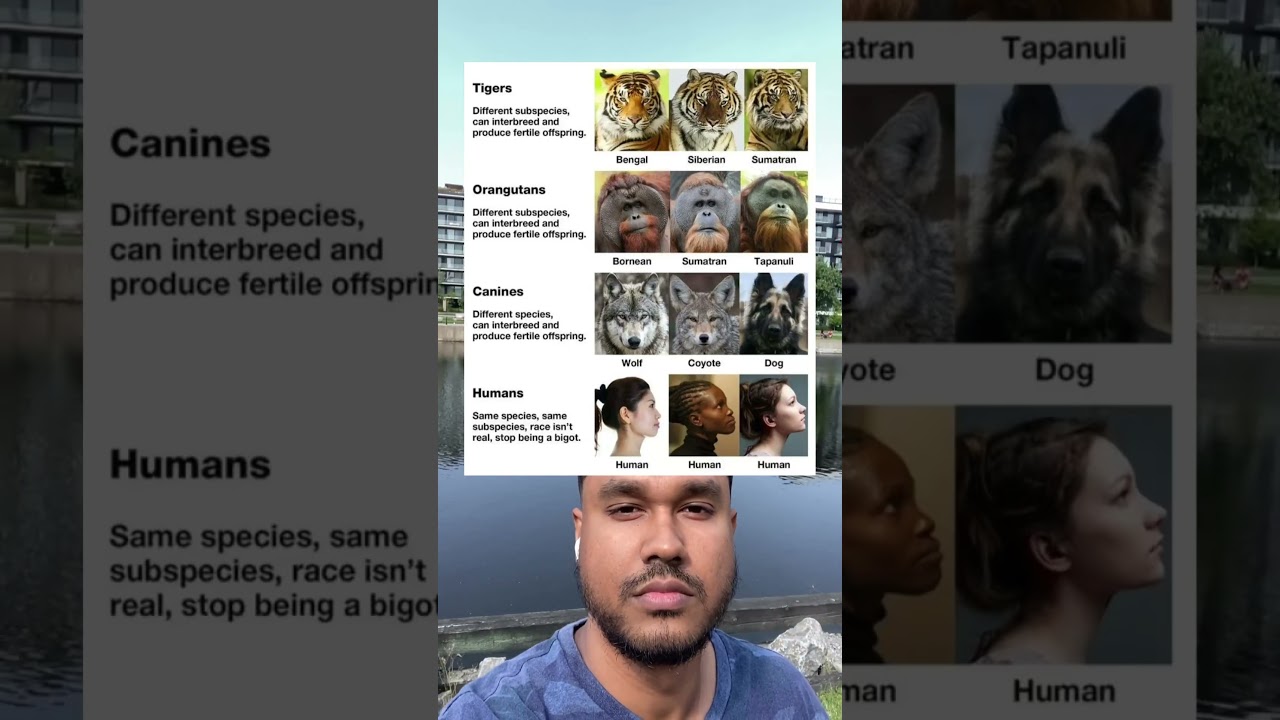 Люди не являются отдельным видом, и эта диаграмма объясняет почему.
