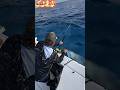 joran sampai patah tidak kuat menahan tarikan tuna monster #amazing #fishing #shorts