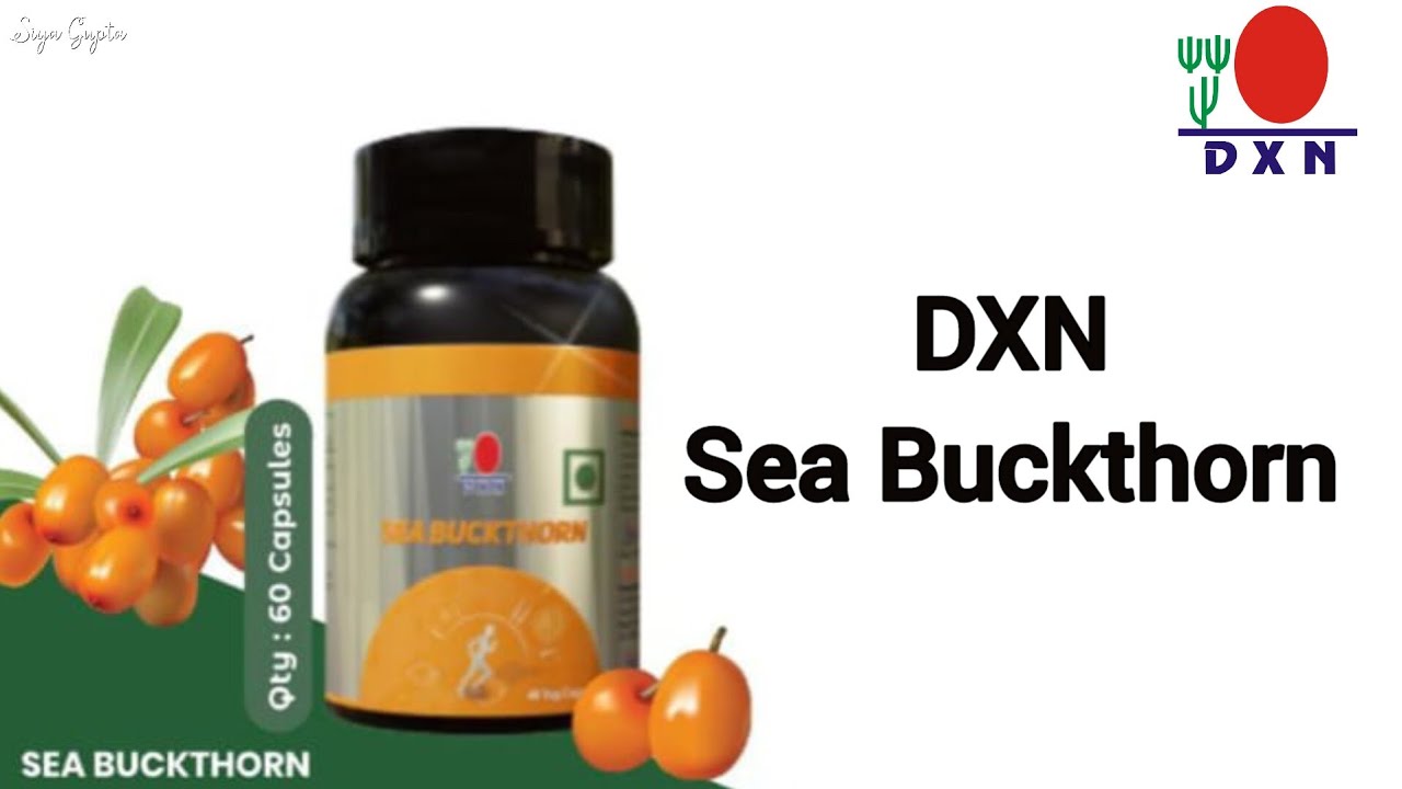 dxn-sea-buckthorn-benefits-in-hindi-youtube