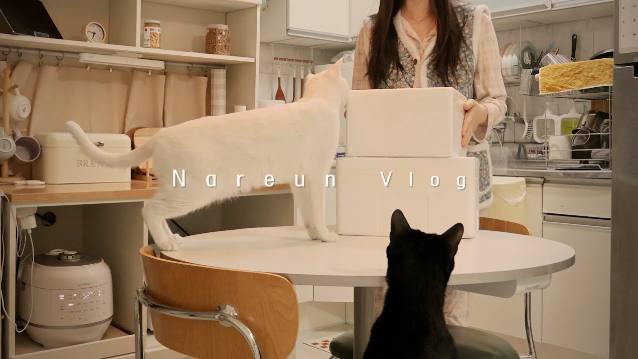 추운 겨울의 일상ㅣ집에서 제주도 여행하기. 딱새우회 손질하고 톳김밥 만드는 자취 브이로그