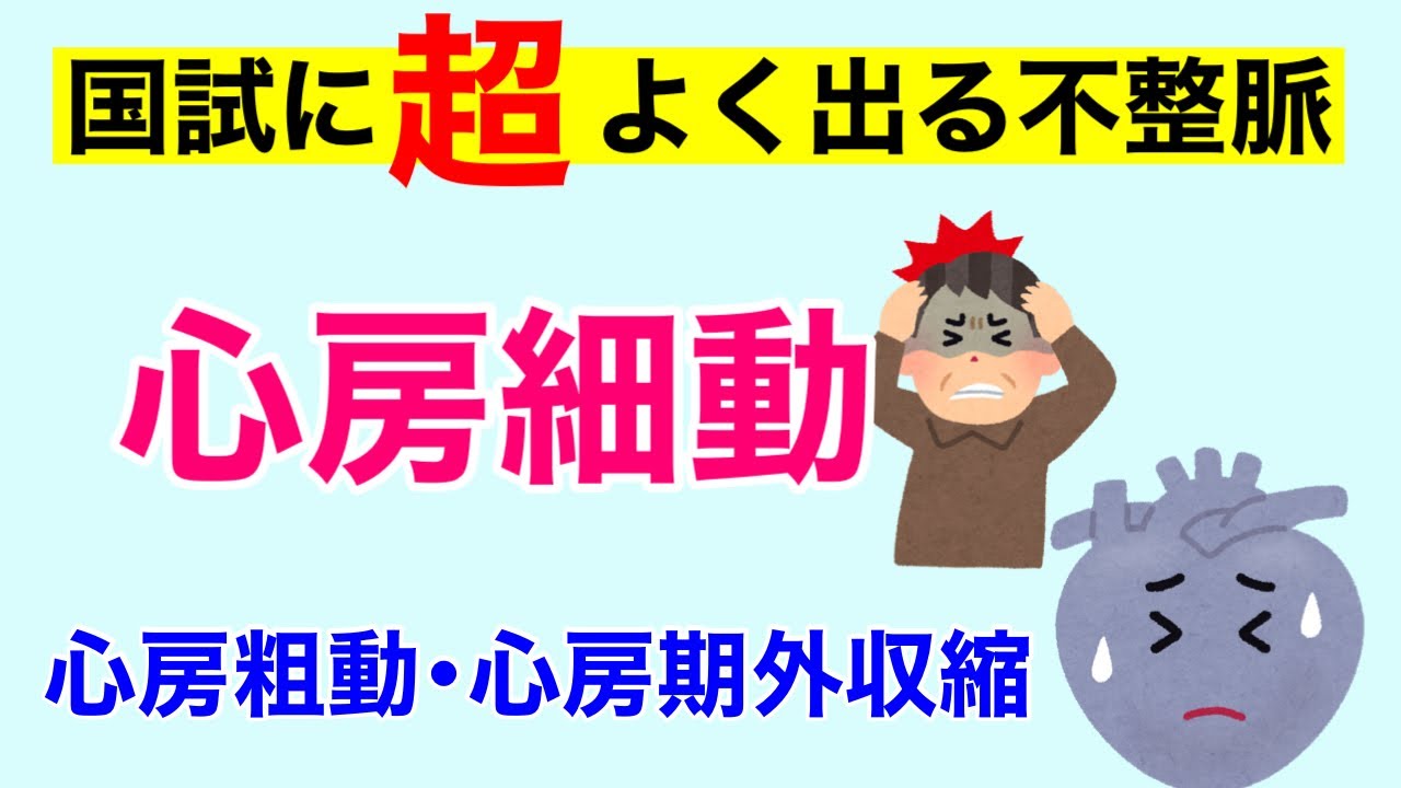 【8分で解説、８分で国試問題】不整脈➀　心房細動・心房粗動・心房期外収縮について解説