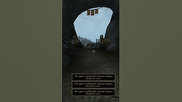 Killing the adoring fan in Morrowind every day until Skywind and Skyblivion are released Day - 486