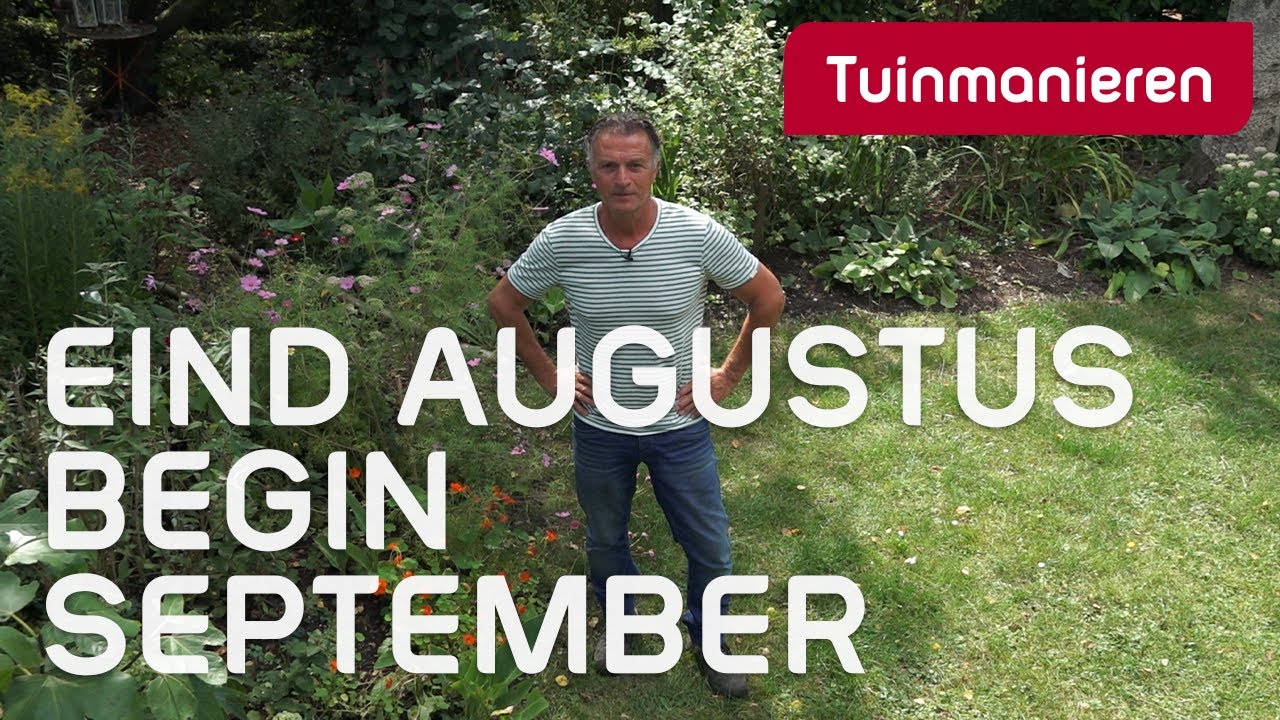 Wat te doen einde augustus, begin september | Zomer | Tuinmanieren