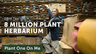 Go Inside One of the World's LARGEST HERBARIUMS — Ep. 355 by Summer Rayne Oakes 20,515 views 4 months ago 24 minutes