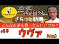 【さらっと紅茶動画】ウヴァ（Uva）どんな紅茶？#16