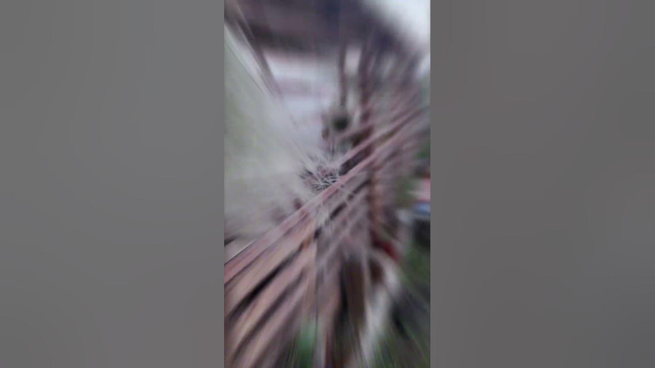 #Беседка на даче#Леруа Мерлен #в помощь#наши руки не для скуки # - YouTube