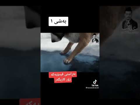 قصه قصيره وحزينة سوفت تبكي عين