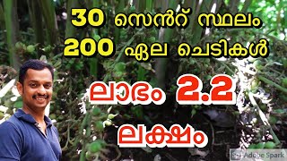 Cardamom Farming Profit elam Krishi cardamom Small Farm cardamom Farming With Low Investment Kl06