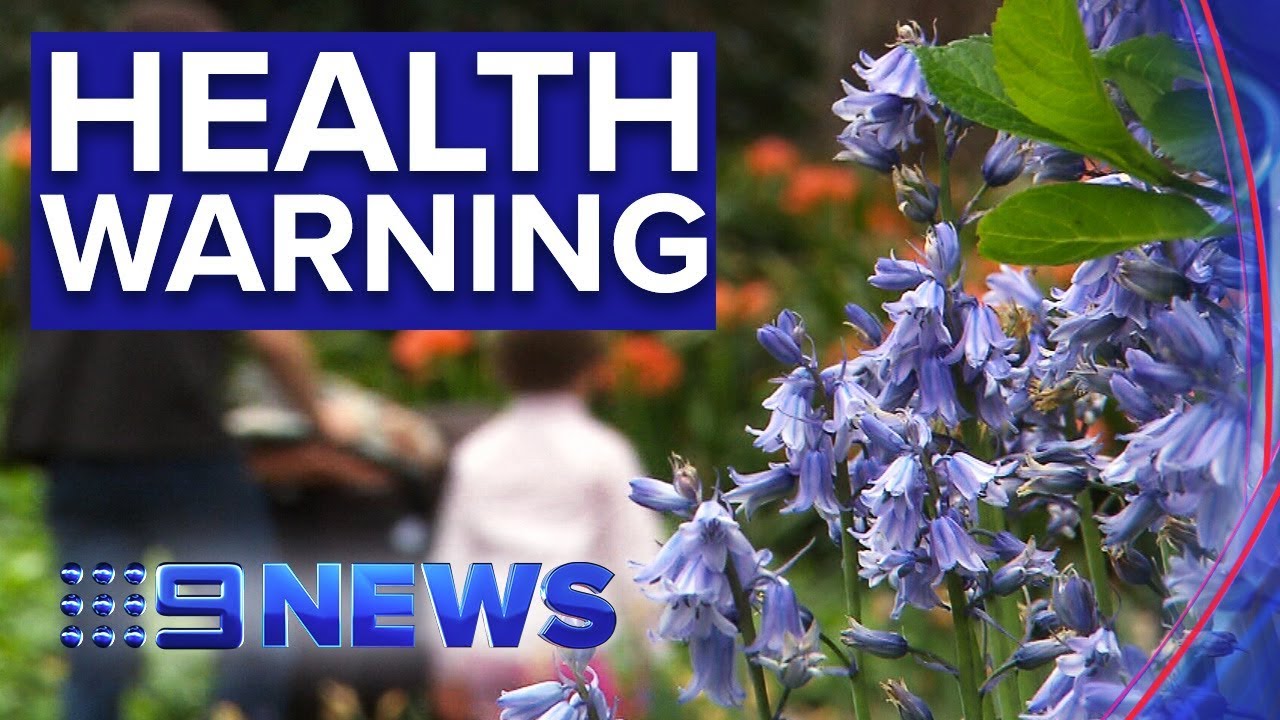 television networks in the united states Asthma and hayfever suffers warned of potentially dangerous weather changes | Nine News Australia
