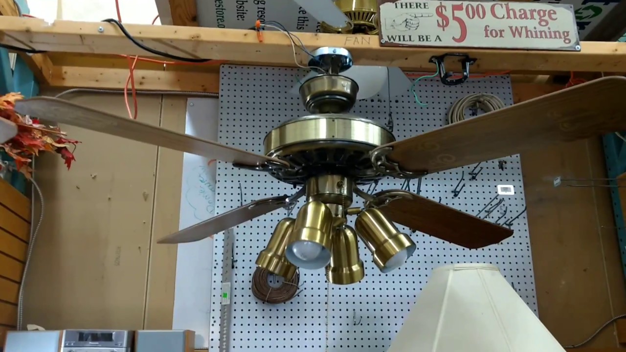 Ceiling Fan Motor Whine Patrofi Veloclub Co Ceiling Fan Motor Whine