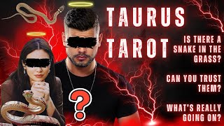 видео: ТЕЛЕЦ⚡️ОСТОРОЖНО ЗМЕИ! 🐍 ТЕПЕРЬ ВЫ ЗНАЕТЕ ЛУЧШЕ 🙂↔️ картинка: ТЕЛЕЦ⚡️ОСТОРОЖНО ЗМЕИ! 🐍 ТЕПЕРЬ ВЫ ЗНАЕТЕ ЛУЧШЕ 🙂↔️