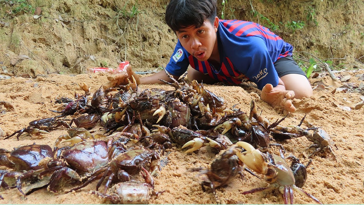 OMG Crab catching in the hole. YouTube