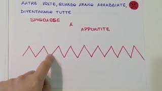 LA STORIA DI PUNTO E LINEA