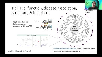 Tim Willson: Are Helicases a Druggable Protein Family? (AViDD Open Science Forum)