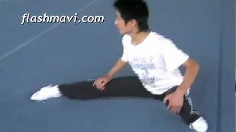 Pu Bu - Wushu Stance