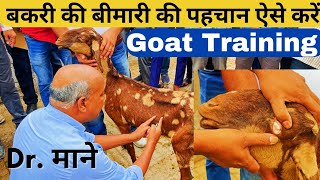 बकरी की बीमारियों की पहचाना कैसे करें // Disease Diagnosis of Goat // Goat Farming Training #goat
