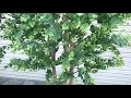 造花　ユーカリの木180cm　ビワールデコ